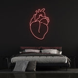 Heart-Shaped Real Heart LED Neon Sign – Fun and bright décor, perfect for home or office, brings an energetic vibe to your space.