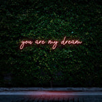 Romantic LED Neon Sign for Bedroom - You Are My Dream Lighted Décor for Home and Special Events spaces.